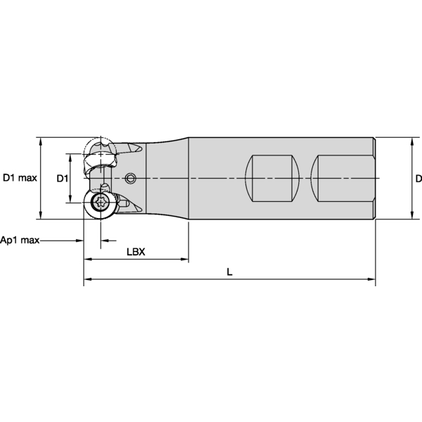 RODEKA IC10 D=25 Z=3 WELDON