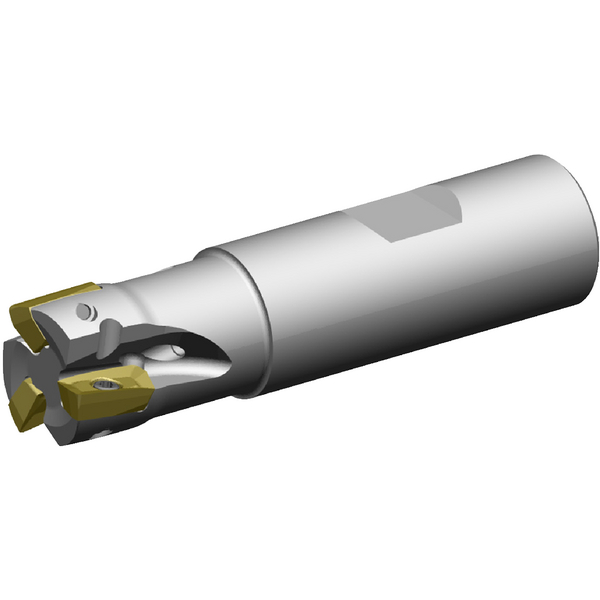 Fräskropp • Weldon