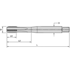 M12X1.75 6HX STFL BOTT E 376
