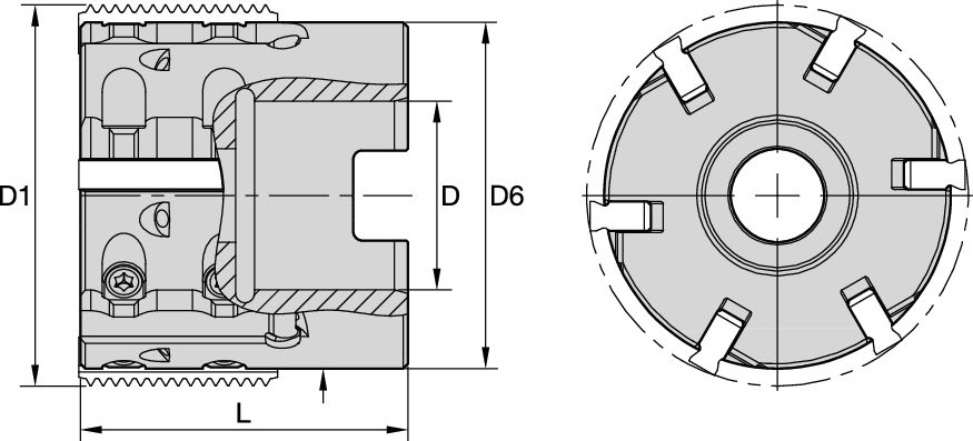 TMS25 SHELL MILL METRIC D=44