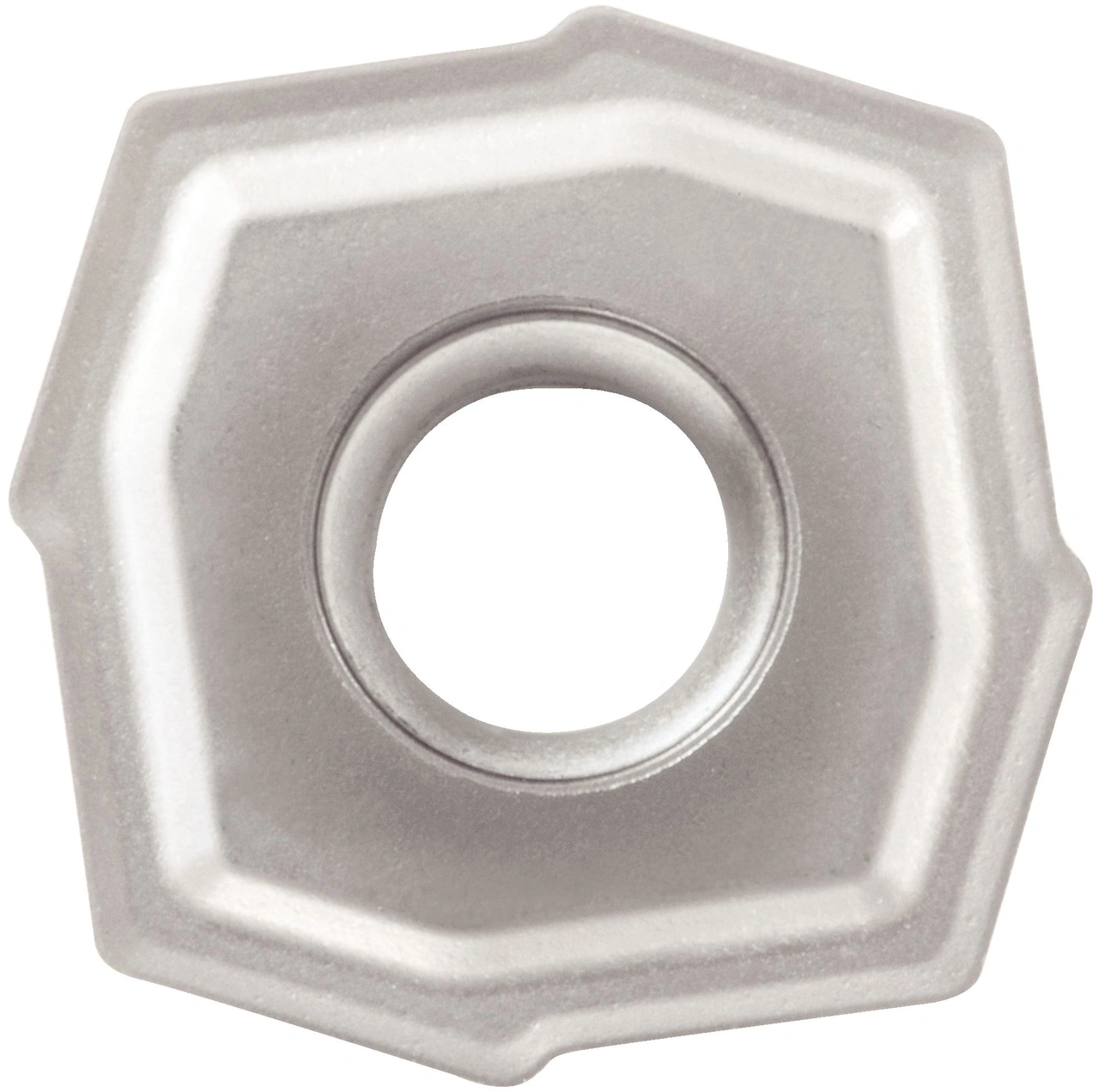 TCF CENTER INSERT