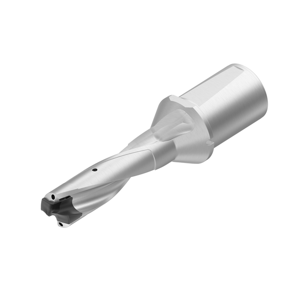 KSEM BODY 39-40MM 3xD