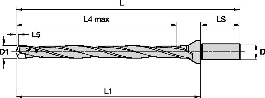 TDMX BODY D=24MM 12XD SF SHANK 32MM
