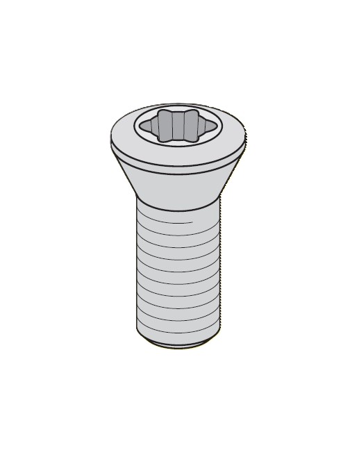 INSERT SCR M4-0.5 x 10 T15