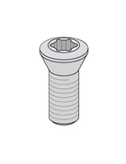INSERT SCR M4-0.5 x 10 T15