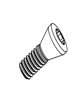 INSERT SCR M2.5-0.45 x 5.5 T8