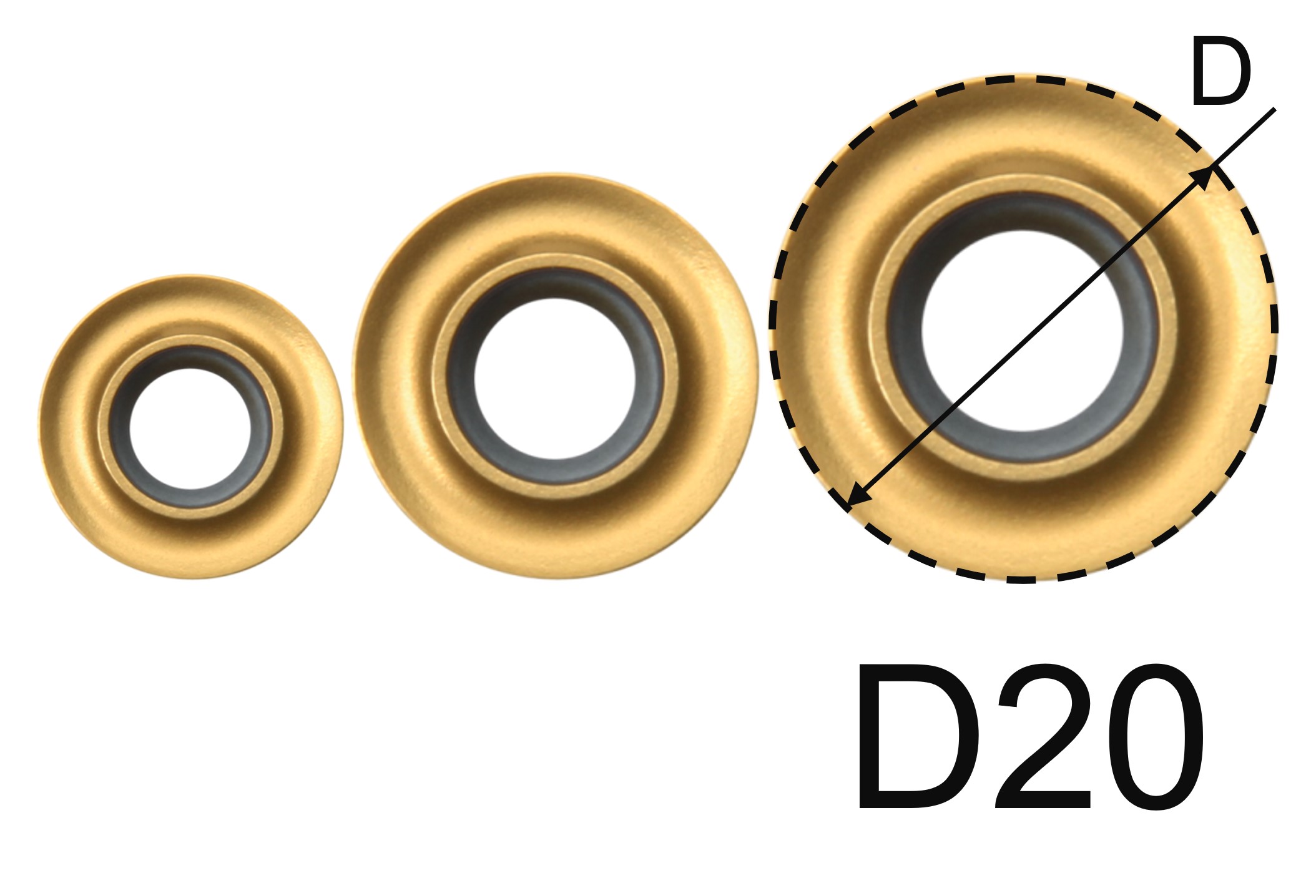 Daisy • IC20
