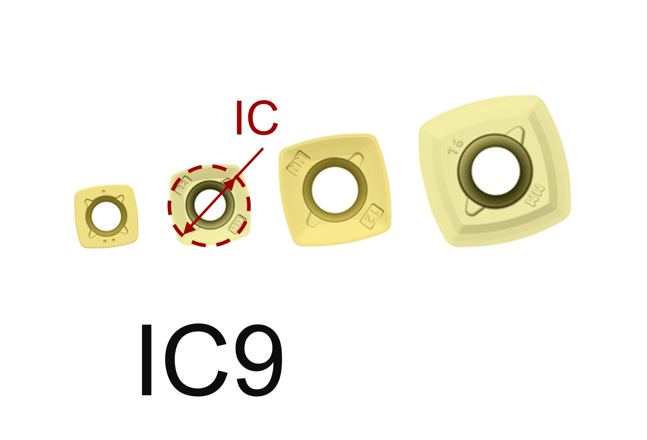 VXF • IC09