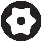 BIT T15B TORX M HÅL 170MM