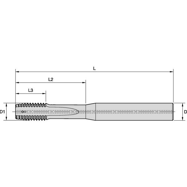 M8X1.25 6HX 3F STFL PLUG CH K