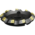 MEGA 45 SHELL MILL D=315 Z=10